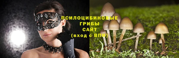 СК Алзамай