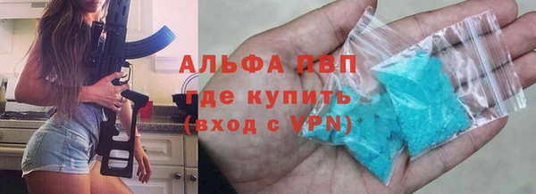 стаф Болотное