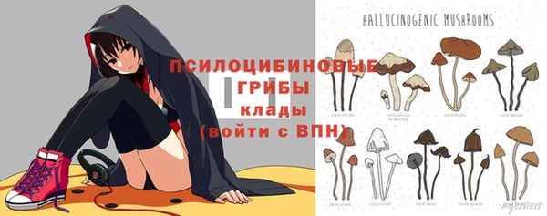 спиды Алексеевка
