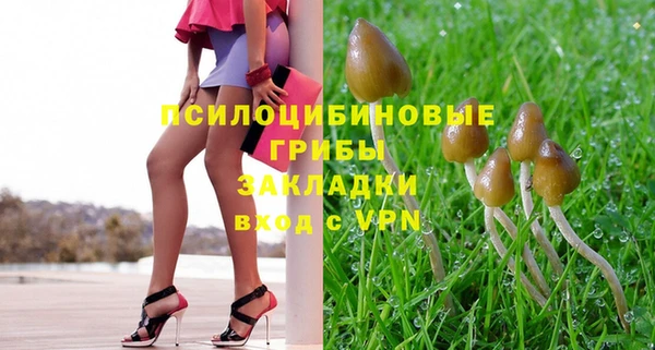 спиды Алексеевка