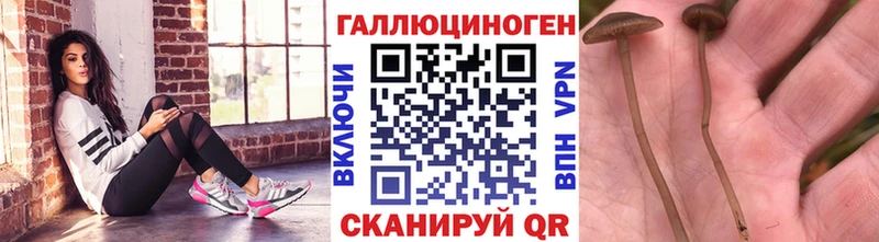 Галлюциногенные грибы MAGIC MUSHROOMS  Звенигово 